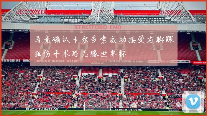 马竞确认卡尔多索成功接受右脚踝扭伤手术恐无缘世界杯