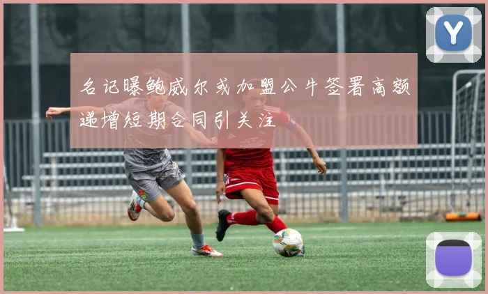 名记曝鲍威尔或加盟公牛签署高额递增短期合同引关注