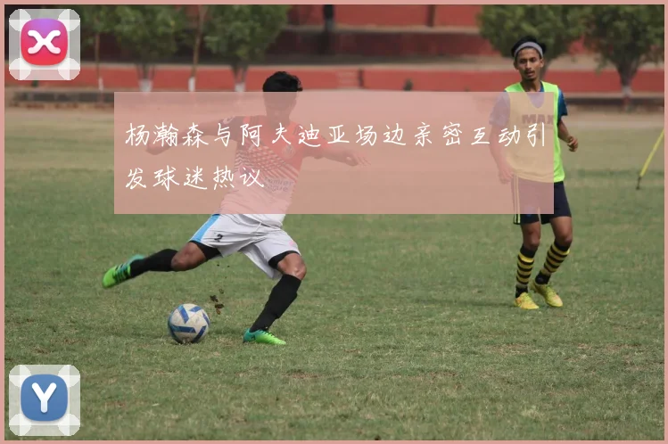 杨瀚森与阿夫迪亚场边亲密互动引发球迷热议